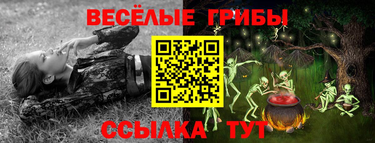 Галлюциногенные грибы Psilocybine cubensis  Вход с VPN  Наро-Фоминск 